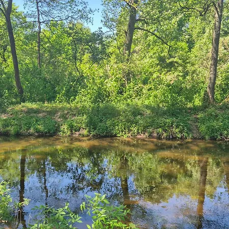 Pet Friendly In Tatil Evi