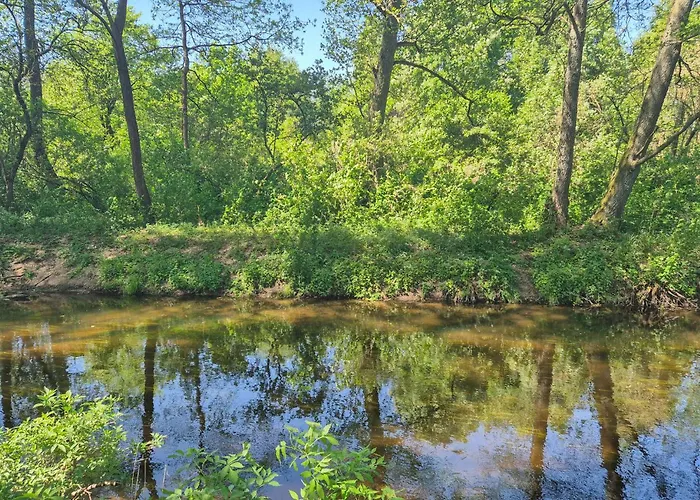 Pet Friendly In Holiday home