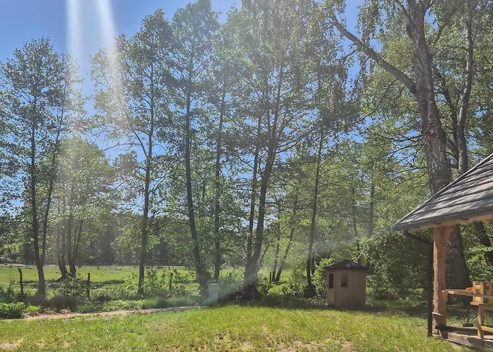 Holiday home Pet Friendly In *